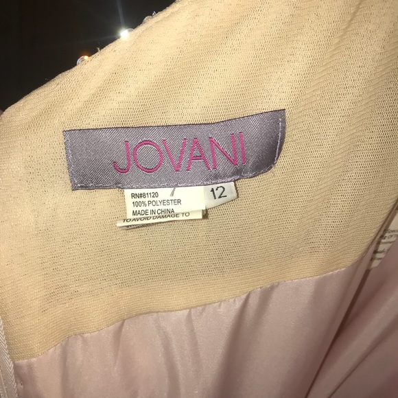 JOVANI BLUSH + CHAMPAGNE BALLGOWN - Picture 7 of 8